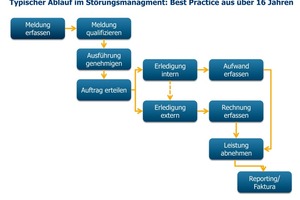  Best Practice-Prozess zur Störung­s­bearbeitung 